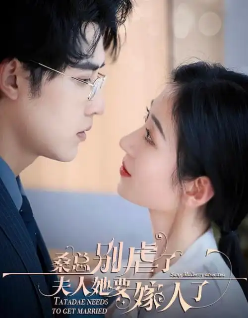 南城旧档悬疑剧在线观看海报